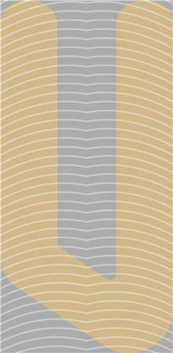 NBA and Team-QD 2203